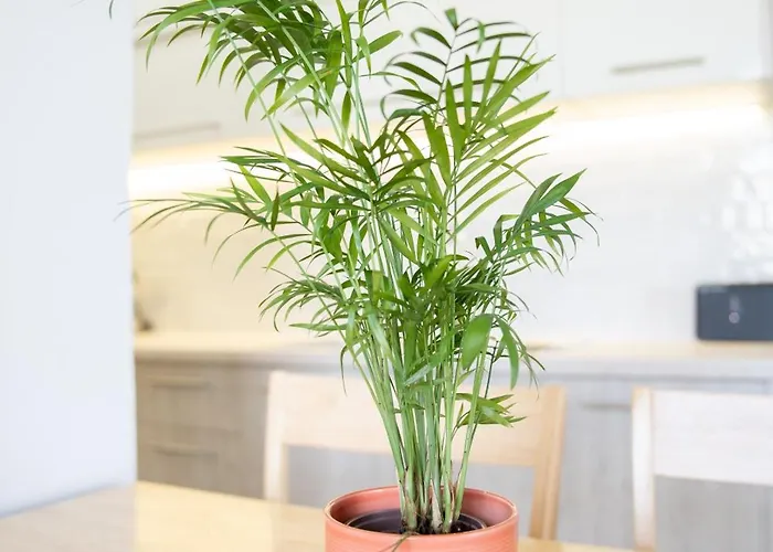 Joyful Guest Residences #with Sea View By 8essentially