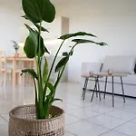 Joyful Guest Residences #with Sea View By 8essentially