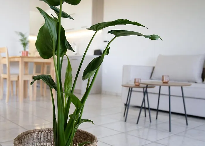 Joyful Guest Residences #with Sea View By 8essentially